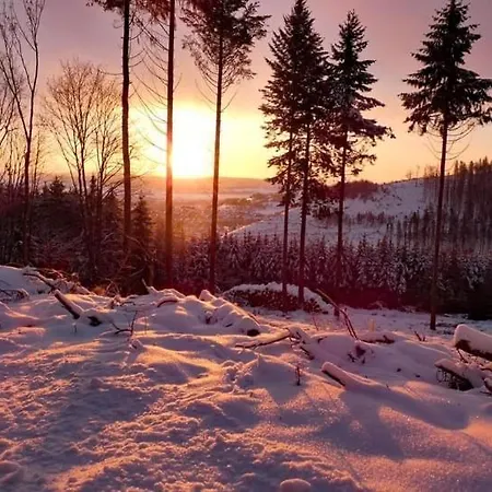 Appartement Am Astenkick Altastenberg Winterberg Buitenkant foto
