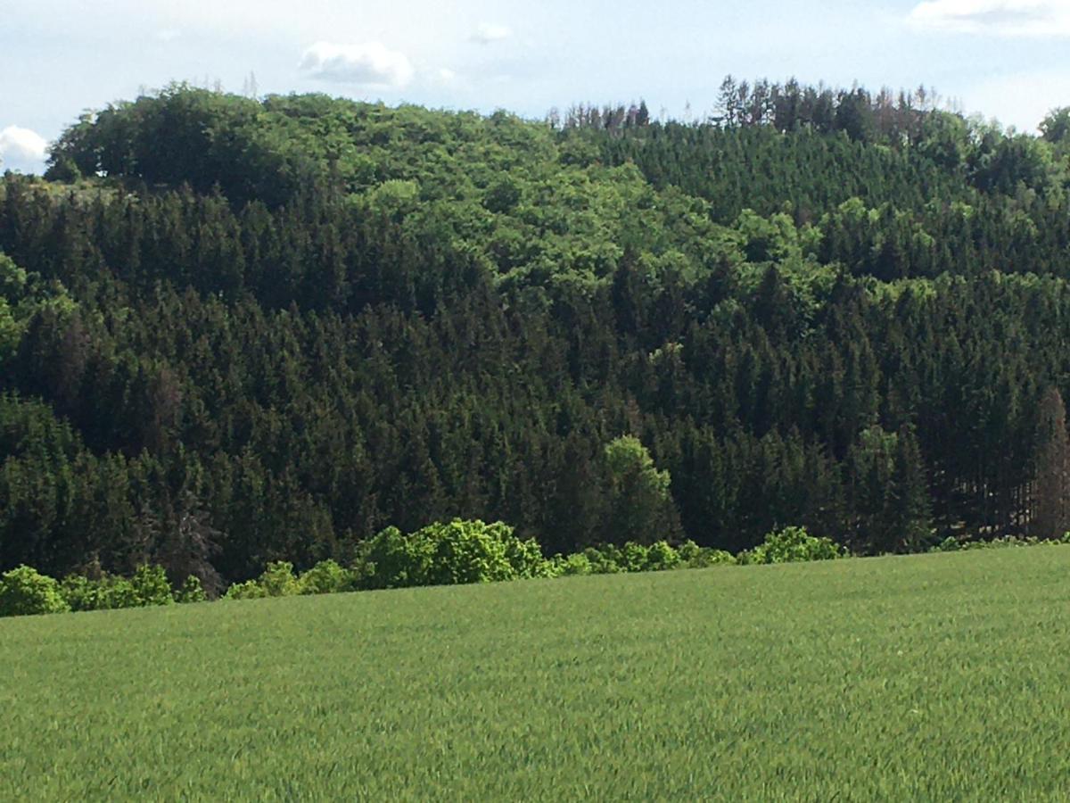 Am Astenkick Altastenberg Winterberg