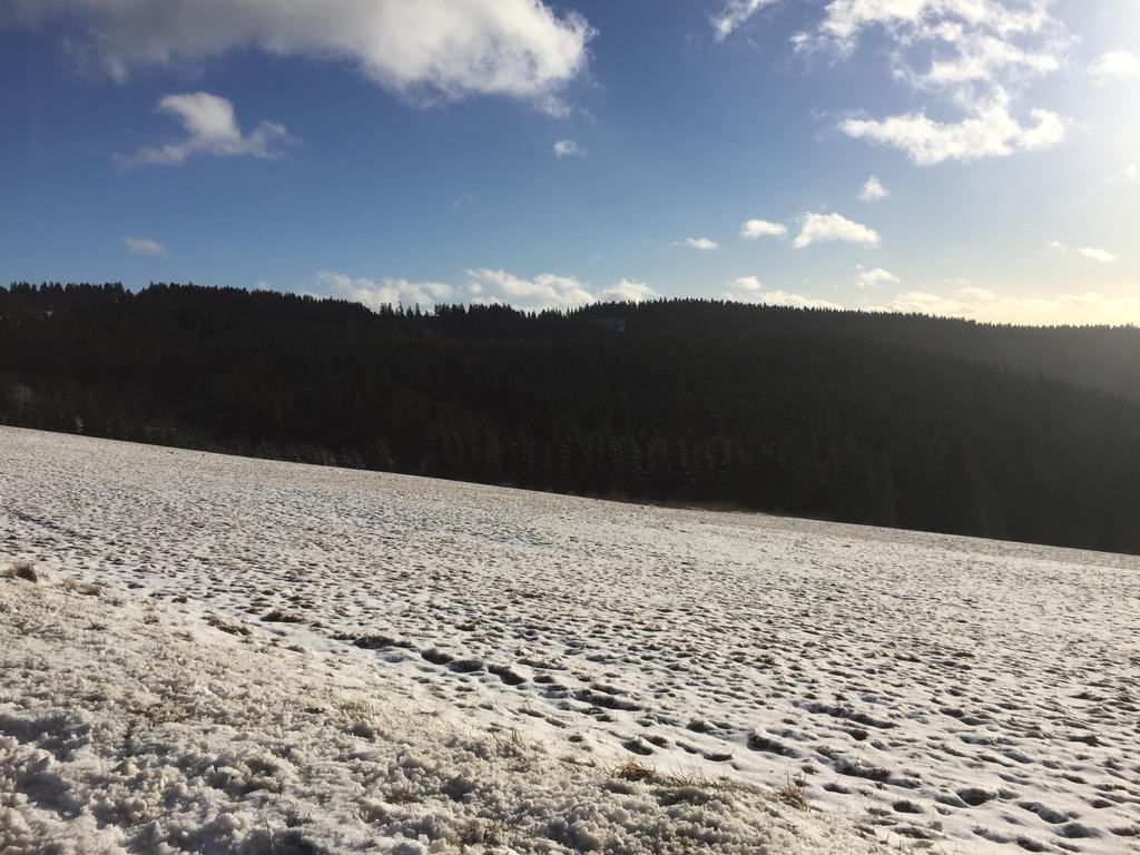 Am Astenkick Altastenberg Appartement *